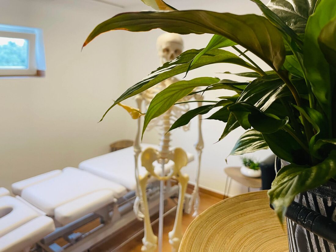 Behandlungsraum mit Massageliege, Anatomie-Skelett und Grünpflanze